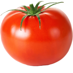 Tomato