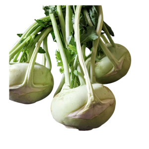 Kohlrabi